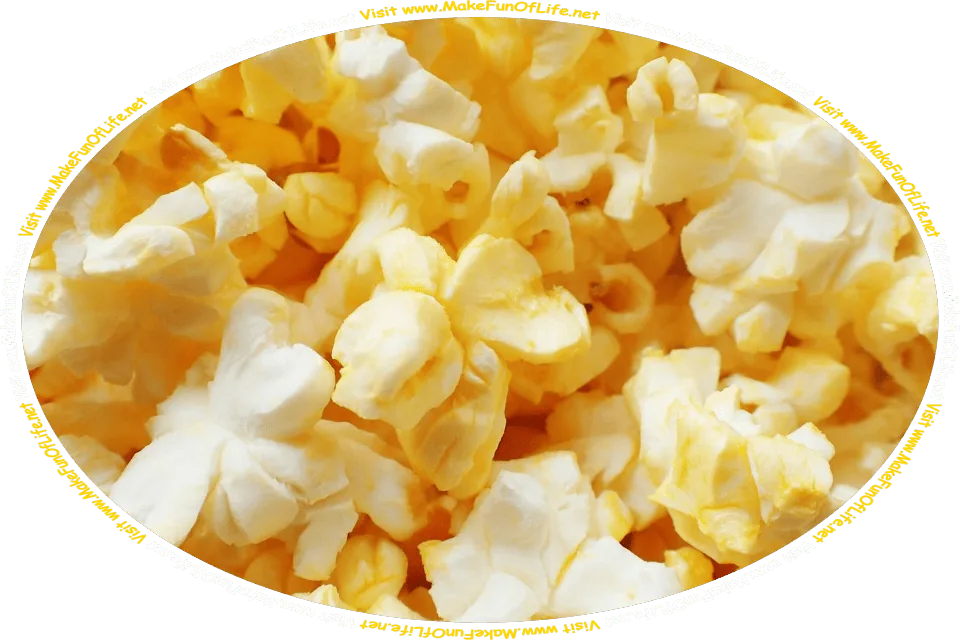 Picture of yellowish-white buttery fluffy popcorn, and the words, ‘Visit www.MakeFunOfLife.net.’