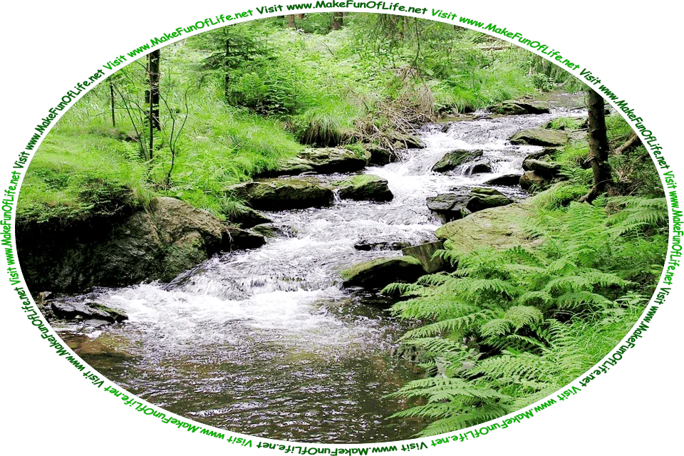Picture of a bubbling brook bordered on both sides by green moss covered rocks, green leafy trees, green grass, and green ferns, in a forest, and the words, ‘Visit www.MakeFunOfLife.net.’