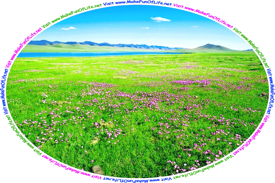 Picture of a big green grassy meadow interspersed with flowering plants having magenta colored blossoms, a small calm freshwater lake, hills in the distance on the far side of the lake, a blue sky above with a few tiny clouds drifting in it, and the words, ‘Visit www.MakeFunOfLife.net.’