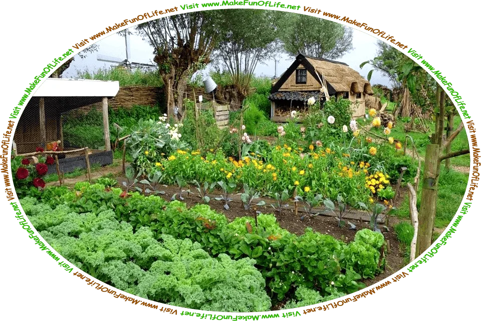 Picture of a vegetable garden and flower garden with a small thatch-roofed dwelling in the background, and the words, ‘Visit www.MakeFunOfLife.net.’