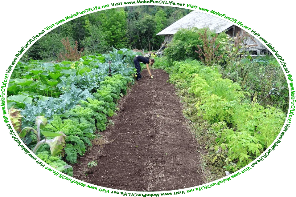 Picture of a woman planting seeds in a vegetable garden, and the words, ‘My Spring Garden Gathered By David Hugh Beaumont - Visit www.MakeFunOfLife.net.’