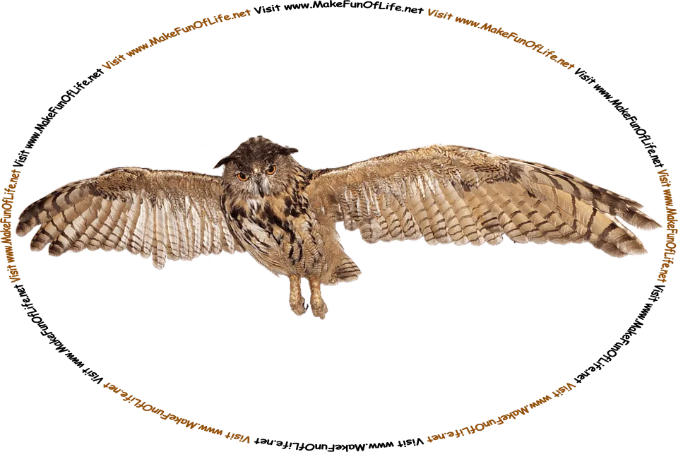 Picture of an owl in flight, with its wings fully outstretched, and the words, ‘Visit www.MakeFunOfLife.net.’