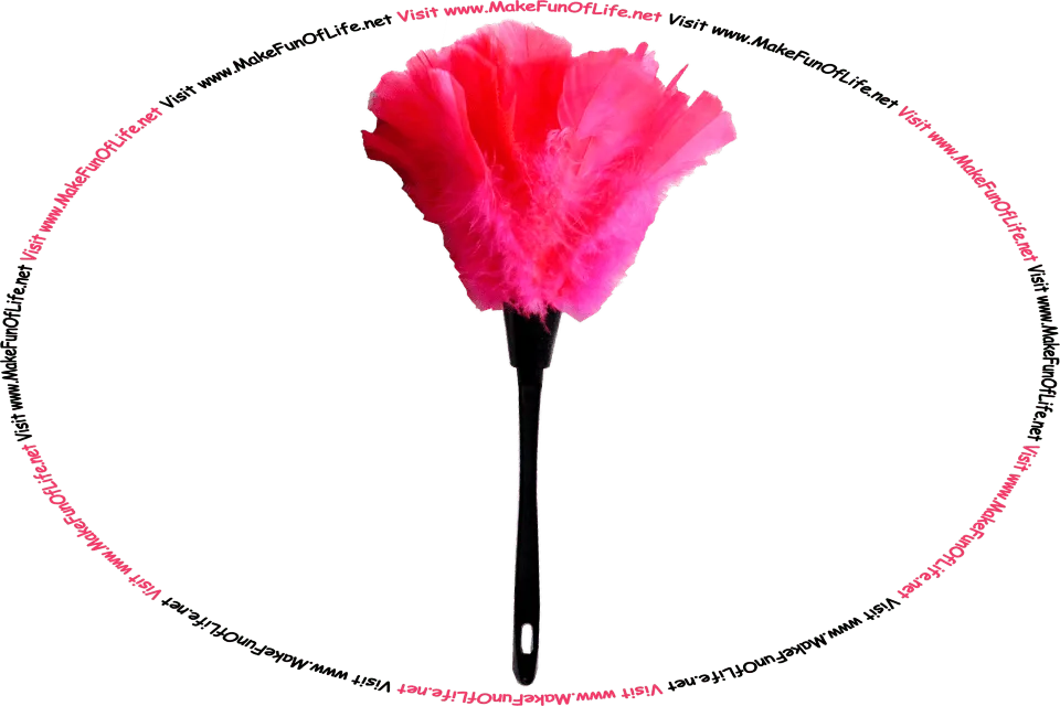 Picture of a feather duster made from a long plastic stick handle and bright pink bird feathers, and the words, ‘Visit www.MakeFunOfLife.net.’