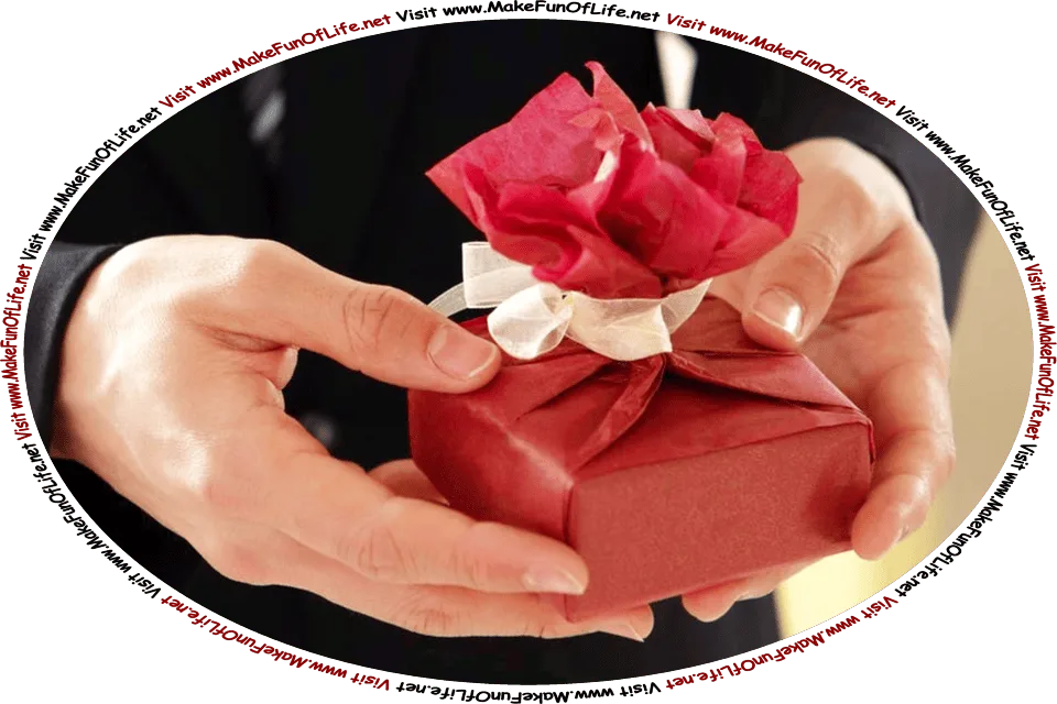 Picture of a pair of human hands holding a small box wrapped in red paper and tied with a white ribbon, and the words, Visit www.MakeFunOfLife.net.