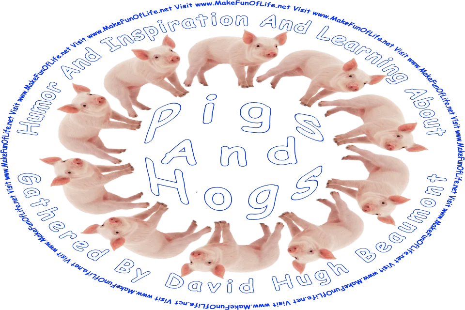 Picture of several pigs standing in a circle, and the words, Humor And Inspiration And Learning About Pigs And Hogs Gathered By David Hugh Beaumont - Visit www.MakeFunOfLife.net.
