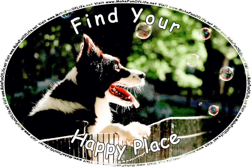 Picture of a happy black and white dog standing on its hind legs, with its front paws resting on the top of a fence, mouth open and tongue hanging out, watching several soap bubbles floating through the air, and the words, Visit www.MakeFunOfLife.net.