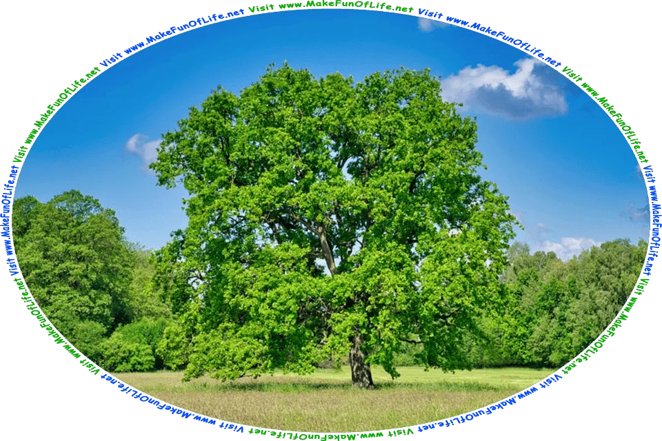 Picture of a single green leafy tree in a green grassy meadow with other green leafy trees in the distance, a blue sky and fluffy white clouds above, and the words, Visit www.MakeFunOfLife.net.