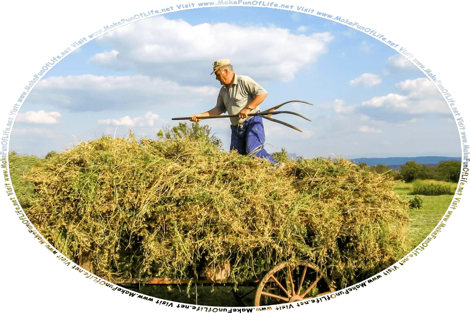 Picture of a farmer using a pitchfork to load a field crop onto a wagon, and the words, Visit www.MakeFunOfLife.net.