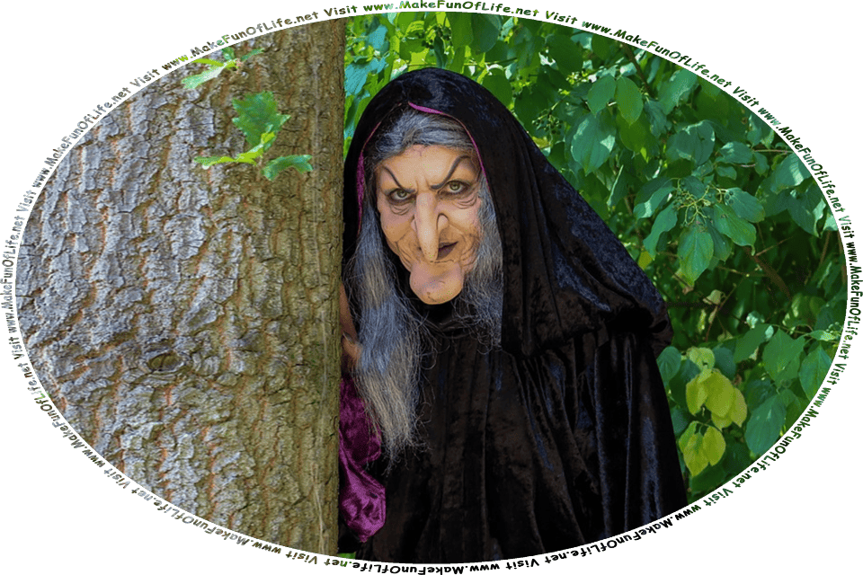 Picture of a witch standing next to a tree, and the words, Visit www.MakeFunOfLife.net.