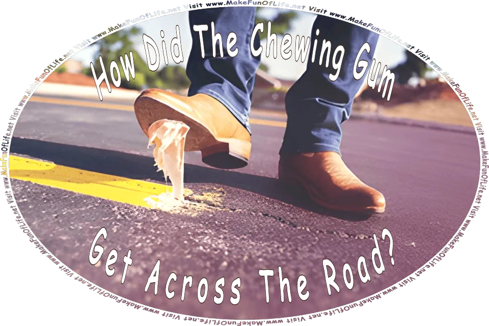 Picture of a person who has stepped on a piece of gum on a road, with the gum then sticking to the person’s shoe, and the words, Visit www.MakeFunOfLife.net.