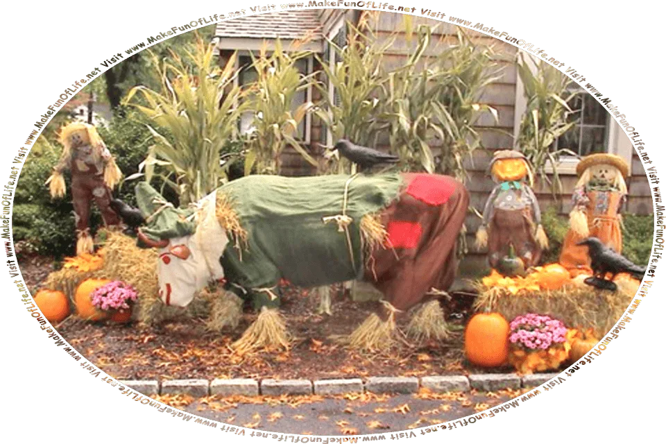 Picture of three scarecrows made from old clothes stuffed with straw, two black crows, a cow scarecrow or scare-cow made from old clothes stuffed with straw, a bale of straw, some big round ripe orange pumpkins, brown Autumn leaves on the ground, all in front of a house , and the words, Visit www.MakeFunOfLife.net.