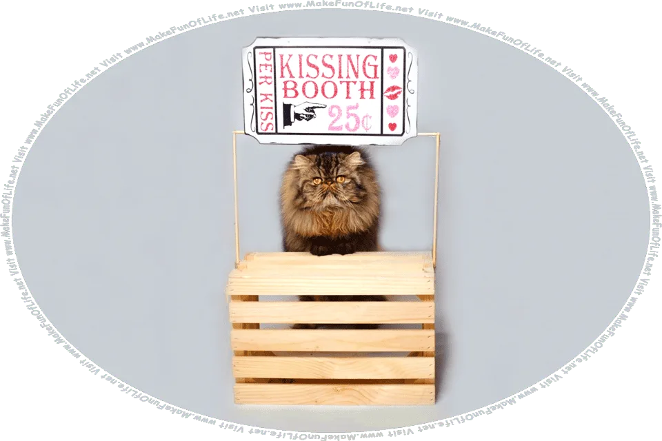 Picture of a domestic cat in a kissing booth, with a sign reading, Kissing Booth, Twenty-Five Cents Per Kiss, and the words, Visit www.MakeFunOfLife.net.