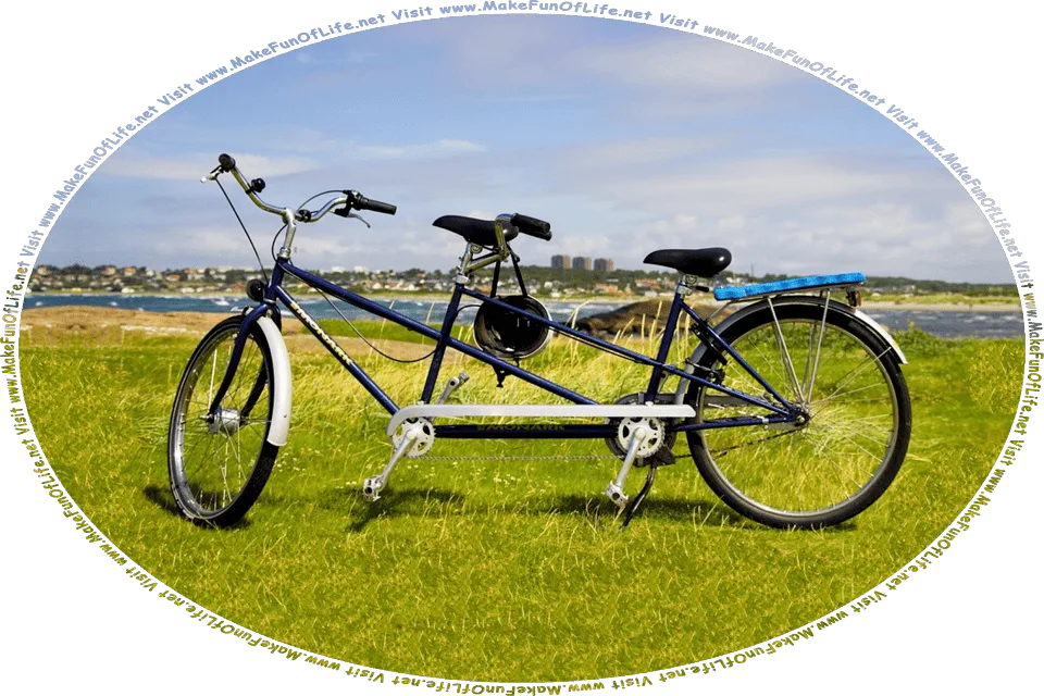 Picture of a bicycle built for two in a grassy area near a seaside resort, and the words, Visit www.MakeFunOfLife.net.