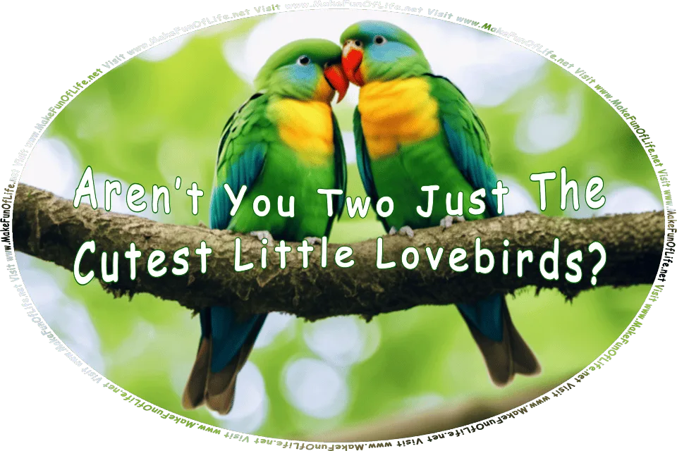 Picture of a pair of lovebirds perched on a branch of a leafy green tree, and the words, Aren’t You Two Just The Cutest Little Lovebirds? - Visit www.MakeFunOfLife.net.