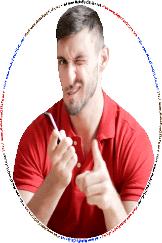 Picture of several people looking at the website on the screens of their cell phones, tablets, and laptops, and the words, Visit www dot Make Fun Of Life dot net.