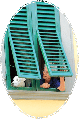 Picture of a woman and a dog poking their heads out of a window in a building, and the words, Visit www.MakeFunOfLife.net.