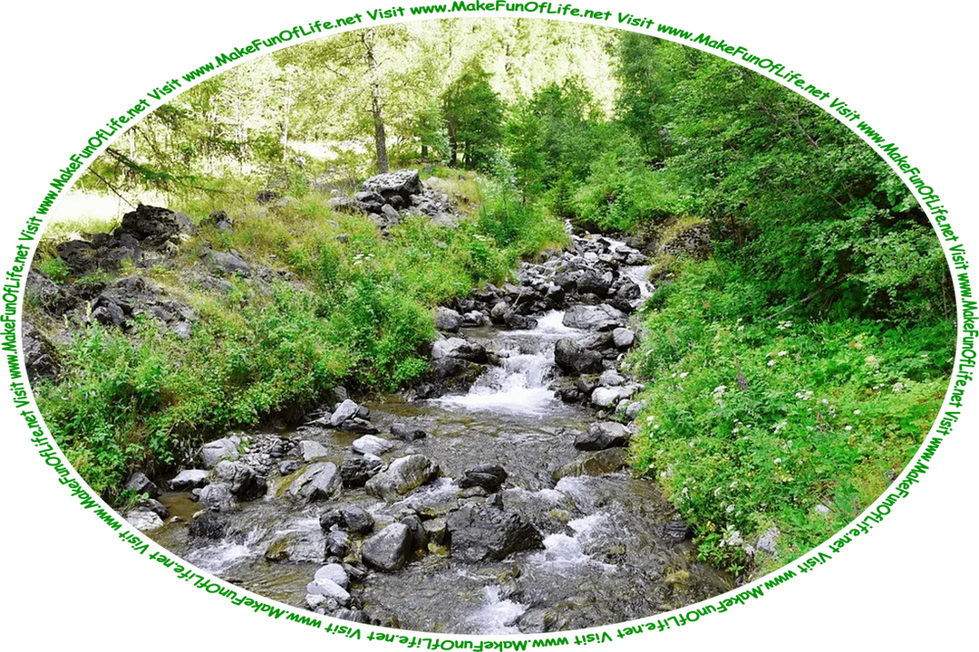 Picture of a creek flowing over rocks through a wooded area, and the words, ‘Visit www.MakeFunOfLife.net.’
