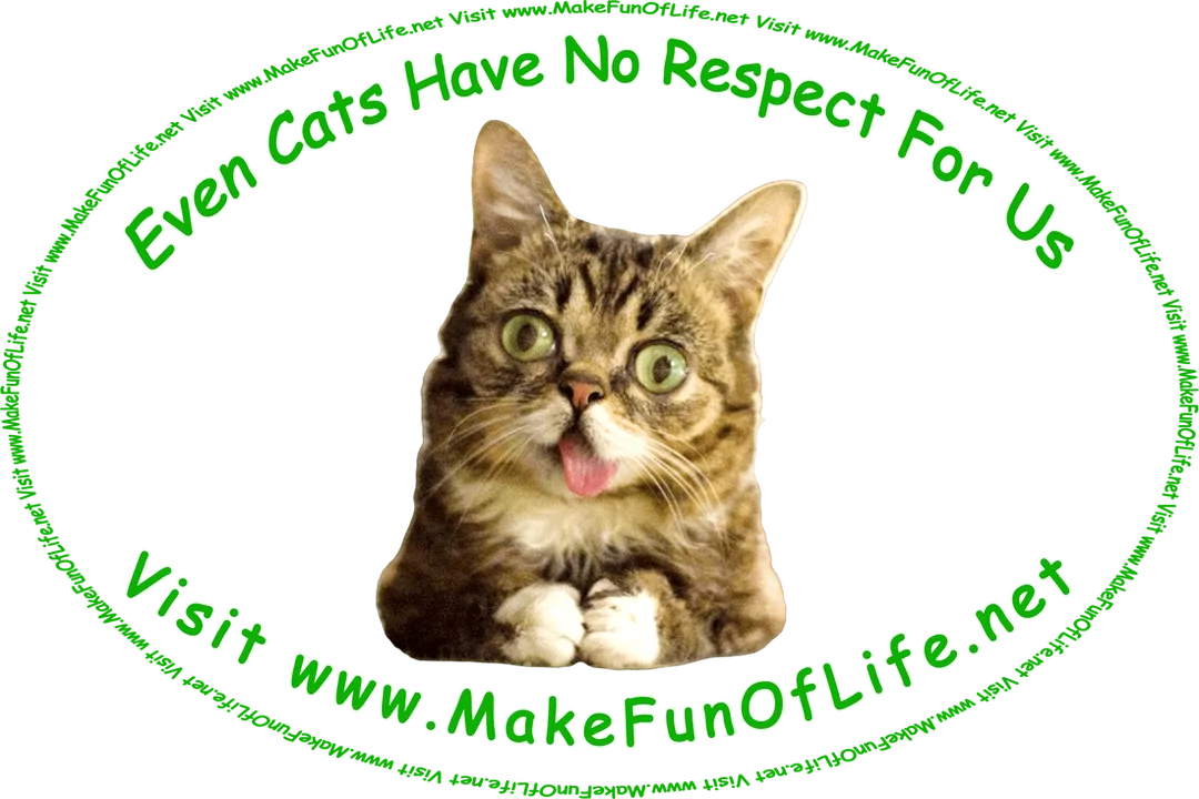 Picture of a cat sticking its tongue out, and the words, ‘Even Cats Have No Respect For Us - Visit www.MakeFunOfLife.net.’