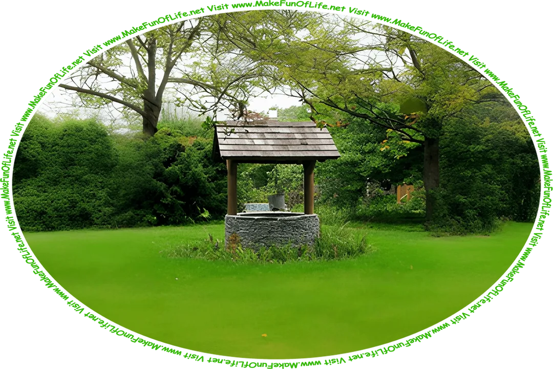 Picture of a wishing well in a green grassy yard, with a bucket hanging from it, and the words, ‘Visit www.MakeFunOfLife.net.’