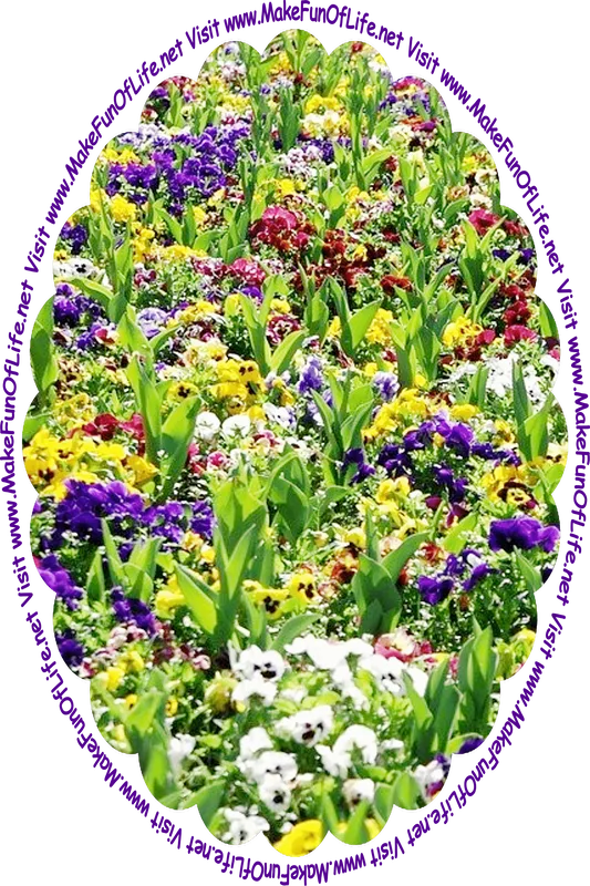 Picture of a field with a variety of flowering plants having long narrow green leaves, and blossoms of yellow, indigo, white, maroon, and lavender, and the words, ‘Visit www.MakeFunOfLife.net.’