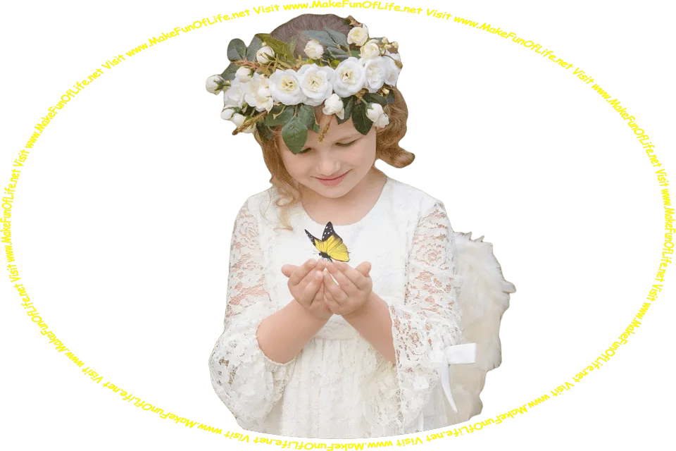 Picture of a child looking at a black and yellow butterfly that has alighted on her hands, and the words, ‘Visit www.MakeFunOfLife.net.’