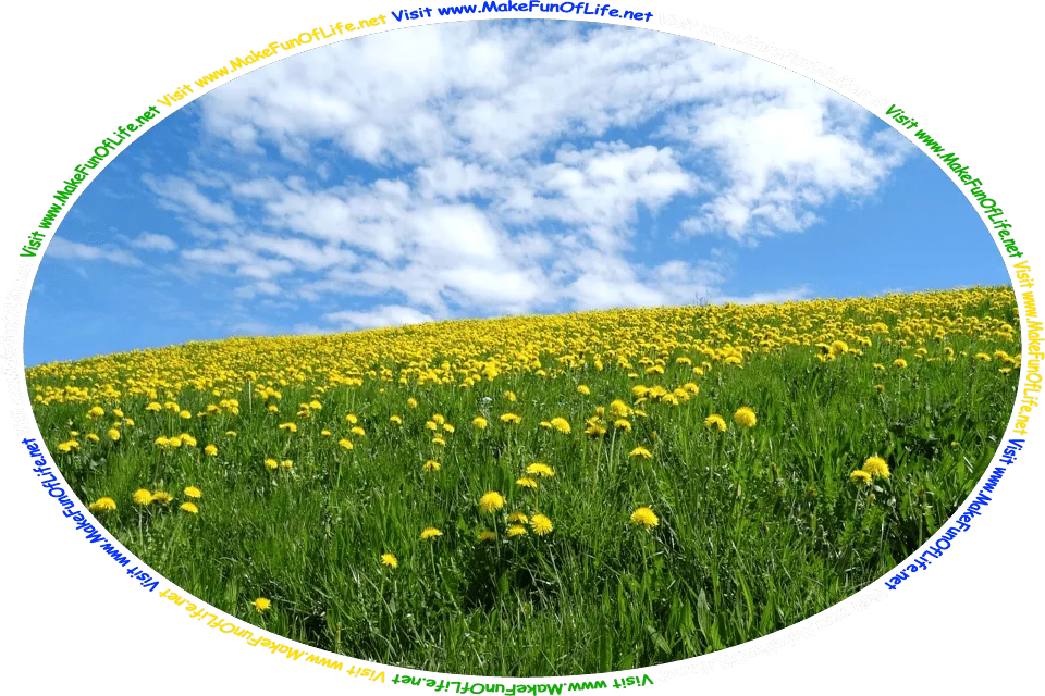 Picture of a field of dandelions with dark green leaves and bright yellow flowers, under a blue sky with fluffy white clouds, and the words, ‘Visit www.MakeFunOfLife.net.’