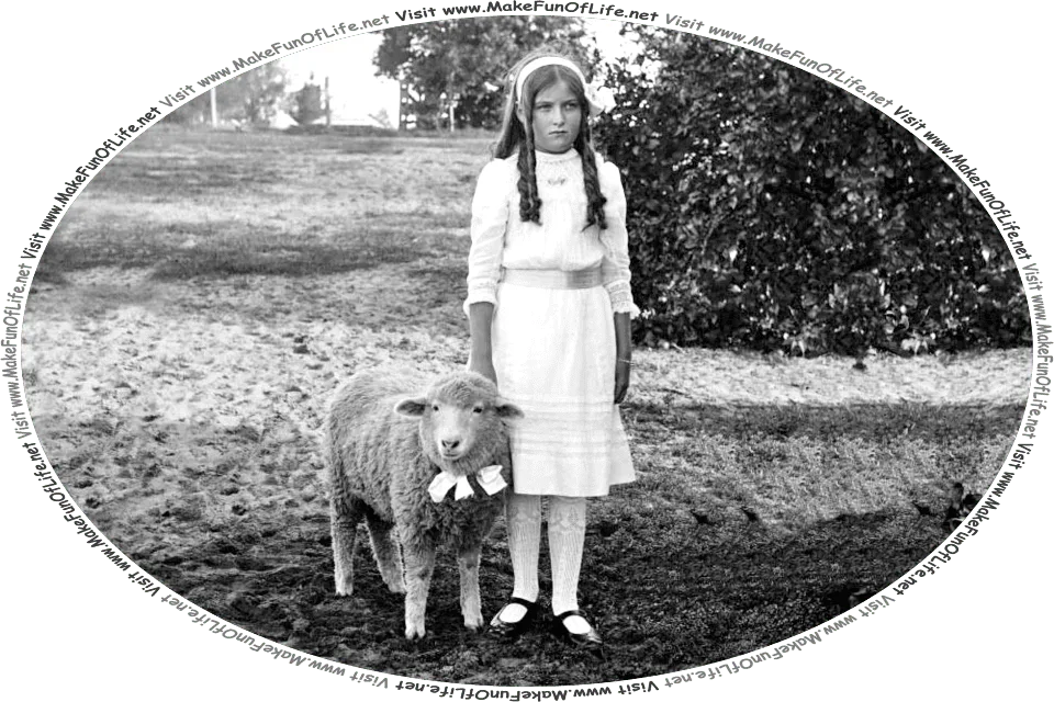 Picture of a girl standing next to a sheep, and the words, Visit www.MakeFunOfLife.net.