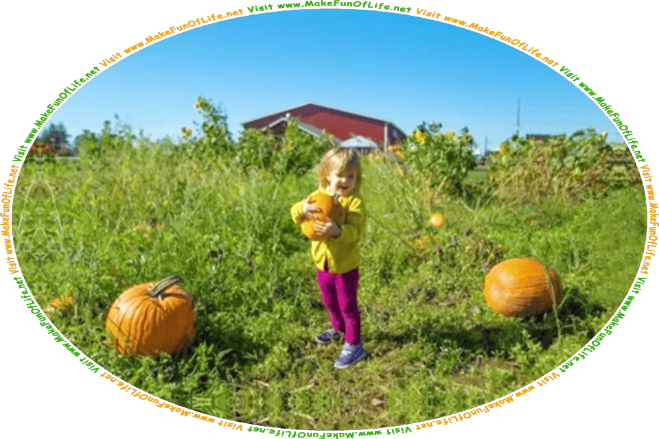 Picture of a happy smiling girl standing in a field, holding a ripe orange pumpkin, and the words, Visit www.MakeFunOfLife.net.