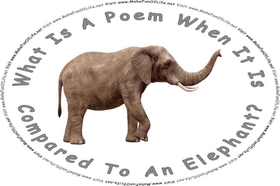 Picture of an elephant with tusks, trunk, and tail, and the words, What Is A Poem Compared To An Elephant - Visit www.MakeFunOfLife.net.