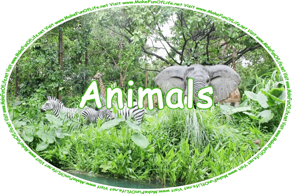 Click or tap here to visit the Animals Page.