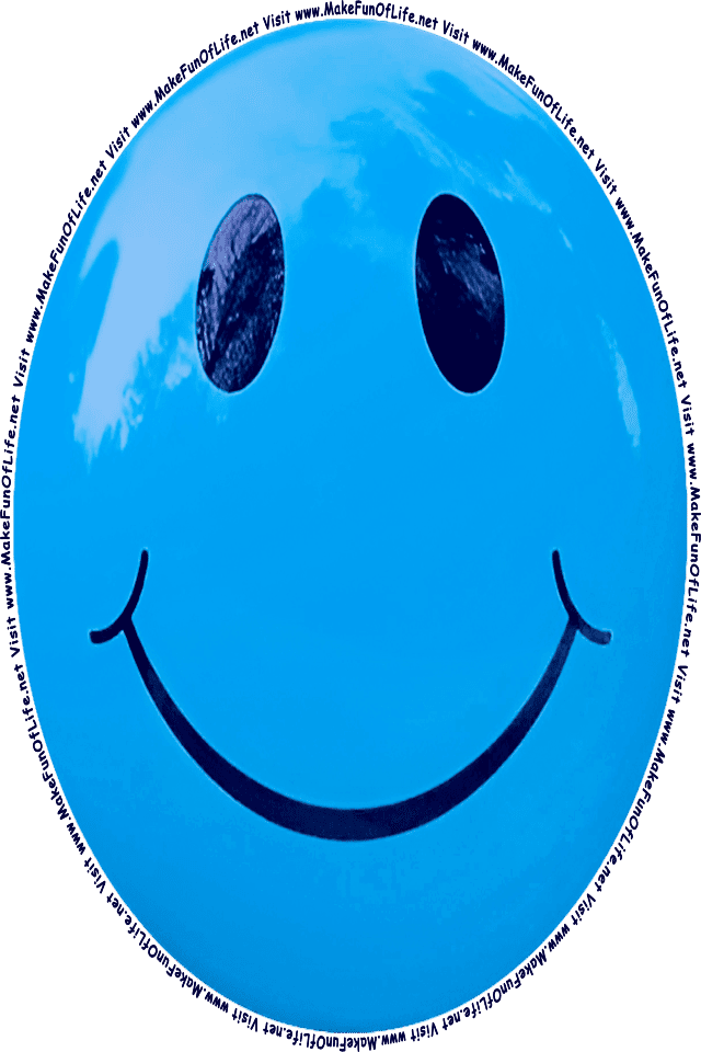 Picture of a blue 10 smiley face, and the words, Visit www.MakeFunOfLife.net.