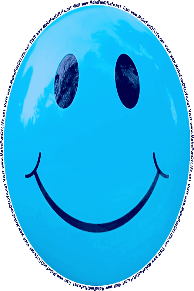 Picture of a Blue 11 smiley face, and the words, Visit www.MakeFunOfLife.net.