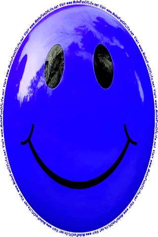 Picture of a blue 180 color cartoon smiley face, and the words, Visit www.MakeFunOfLife.net.