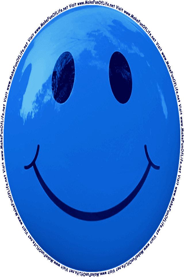 Picture of a blue 1 smiley face, and the words, Visit www.MakeFunOfLife.net.