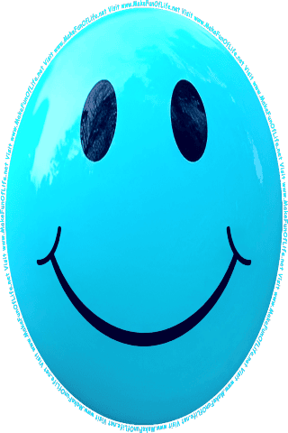 Picture of a blue 20 color cartoon smiley face, and the words, Visit www.MakeFunOfLife.net.