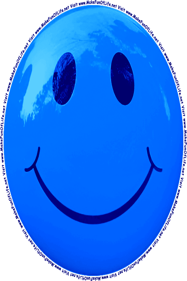 Picture of a blue 2 smiley face, and the words, Visit www.MakeFunOfLife.net.