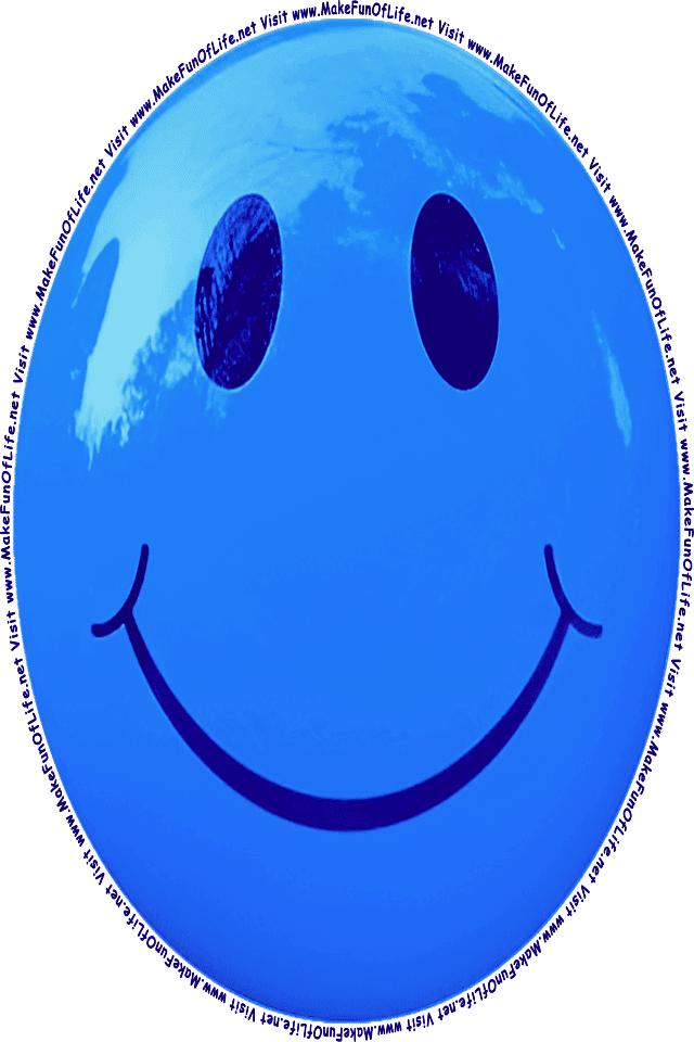 Picture of a blue 3 smiley face, and the words, Visit www.MakeFunOfLife.net.