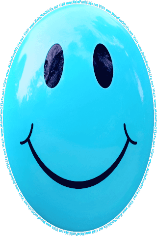 Picture of a blue 40  color cartoon smiley face, and the words, Visit www.MakeFunOfLife.net.