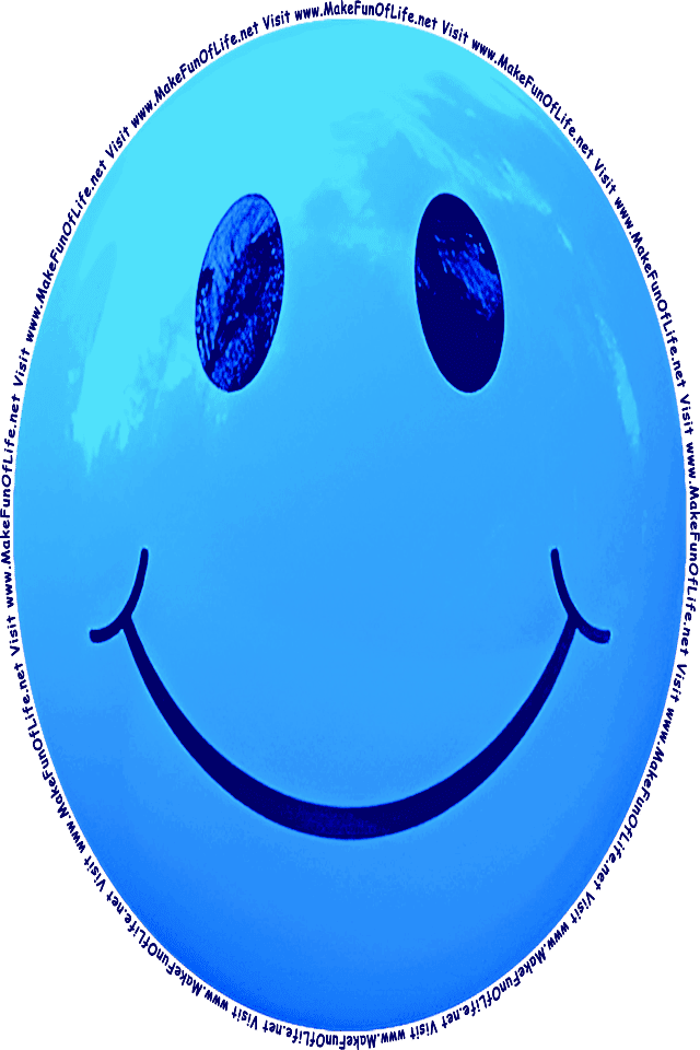Picture of a blue 5 smiley face, and the words, Visit www.MakeFunOfLife.net.