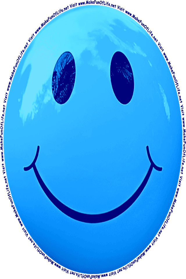 Picture of a blue 6 smiley face, and the words, Visit www.MakeFunOfLife.net.