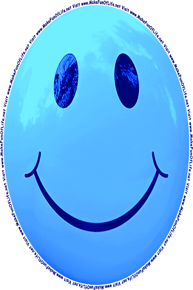 Picture of a blue 7 smiley face, and the words, Visit www.MakeFunOfLife.net.