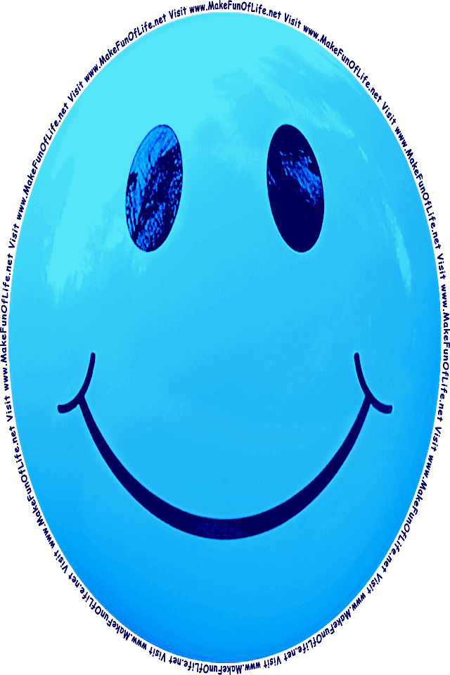 Picture of a blue 9 smiley face, and the words, Visit www.MakeFunOfLife.net.