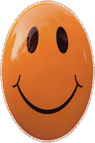 Picture of a brown 100 color cartoon smiley face, and the words, Visit www.MakeFunOfLife.net.
