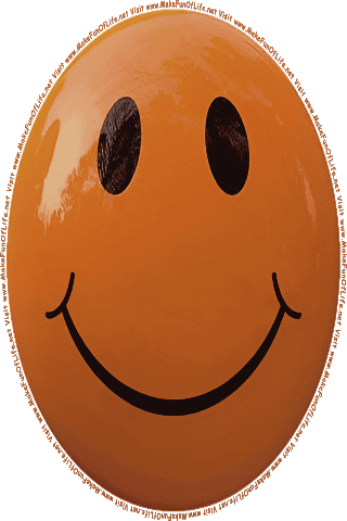 Picture of a brown 120 color cartoon smiley face, and the words, Visit www.MakeFunOfLife.net.