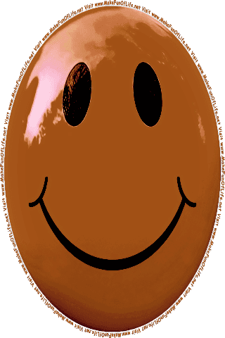 Picture of a brown 140 color cartoon smiley face, and the words, Visit www.MakeFunOfLife.net.