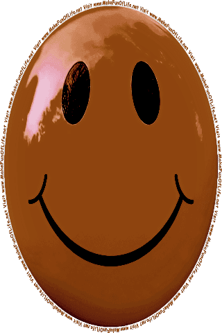 Picture of a brown 160 color cartoon smiley face, and the words, Visit www.MakeFunOfLife.net.