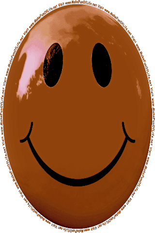 Picture of a brown 180 color cartoon smiley face, and the words, Visit www.MakeFunOfLife.net.