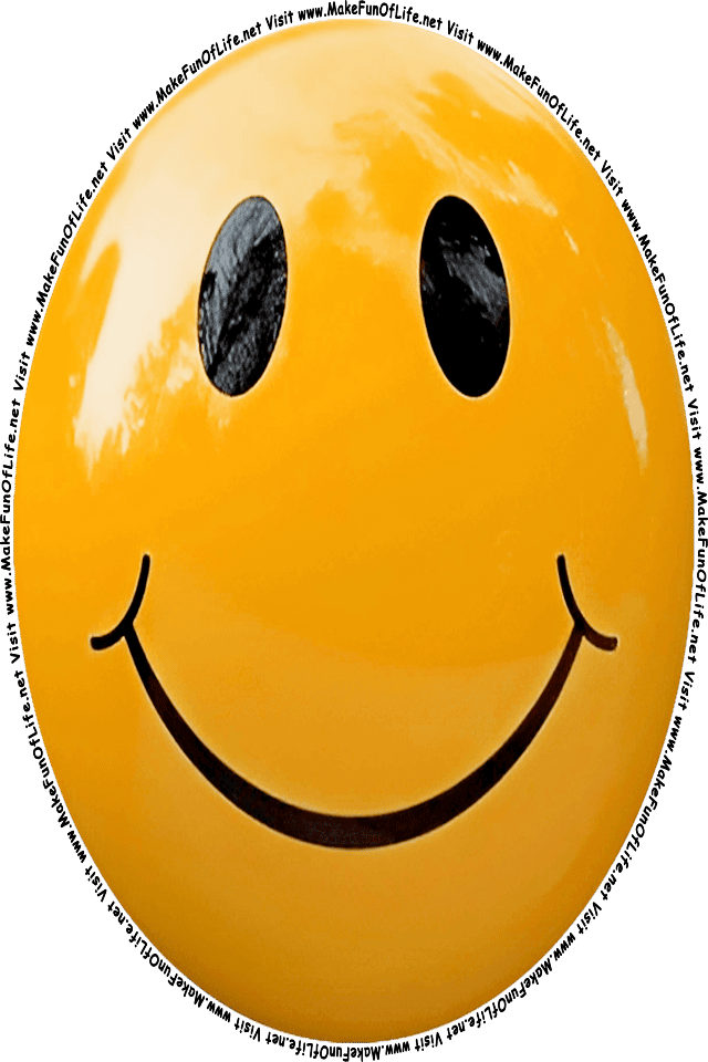 Picture of a brown 1 smiley face, and the words, Visit www.MakeFunOfLife.net.