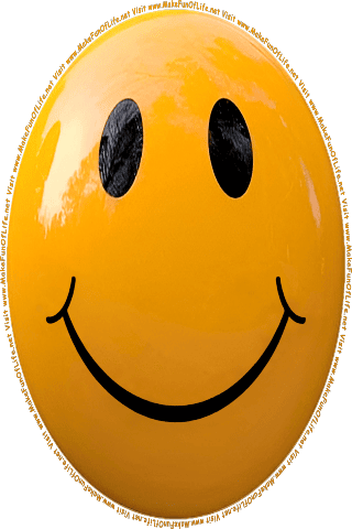 Picture of a brown 20 color cartoon smiley face, and the words, Visit www.MakeFunOfLife.net.