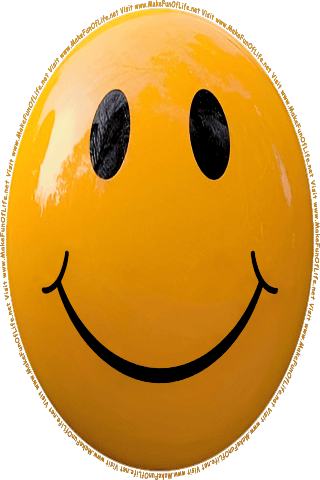 Picture of a brown 40 color cartoon smiley face, and the words, Visit www.MakeFunOfLife.net.